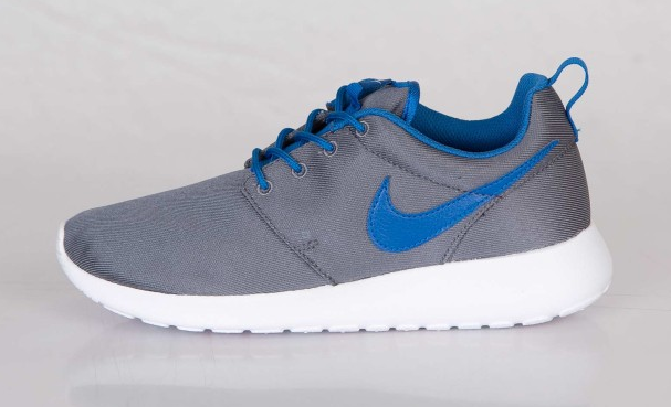 blue and gray roshes