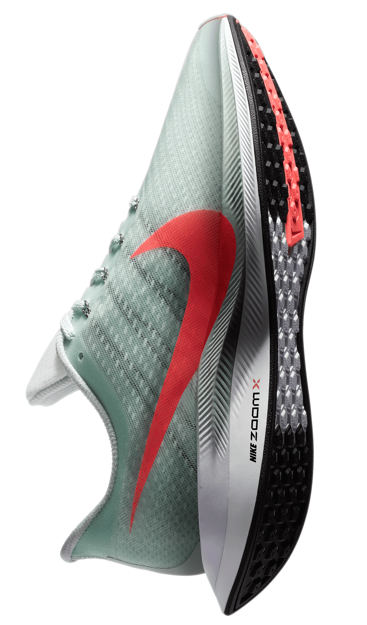 Nike Zoom Pegasus Turbo Debuts this Summer | Nice Kicks