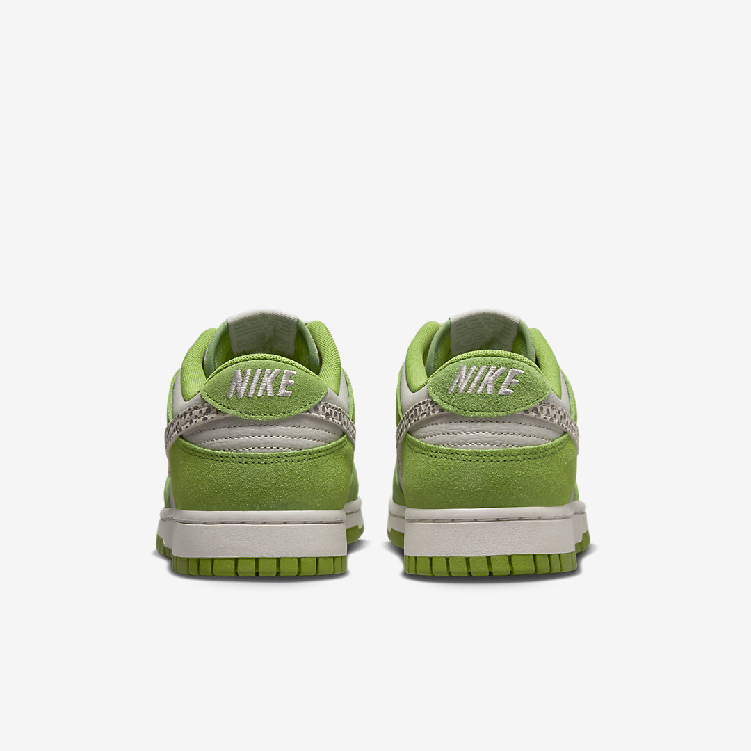 Nike Dunk Low DR0156-300