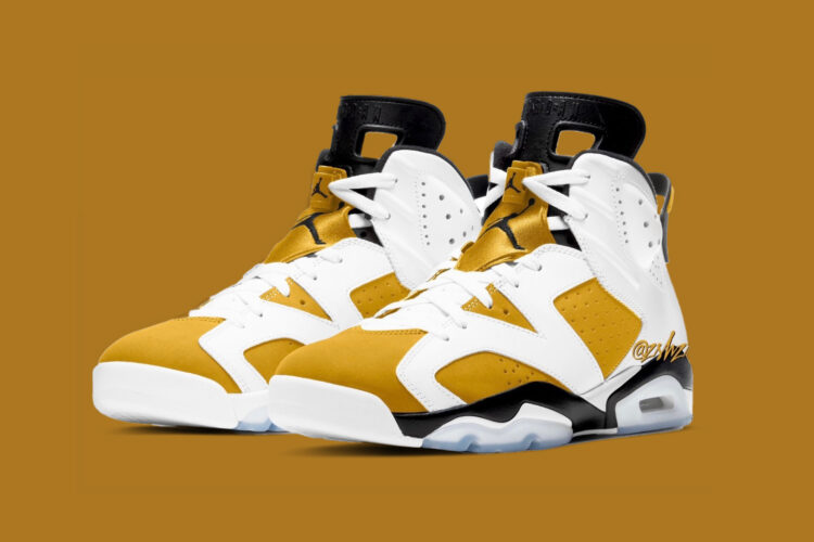 Air Jordan 6 