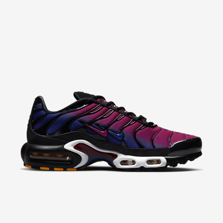 Patta x Nike Air Max Plus 