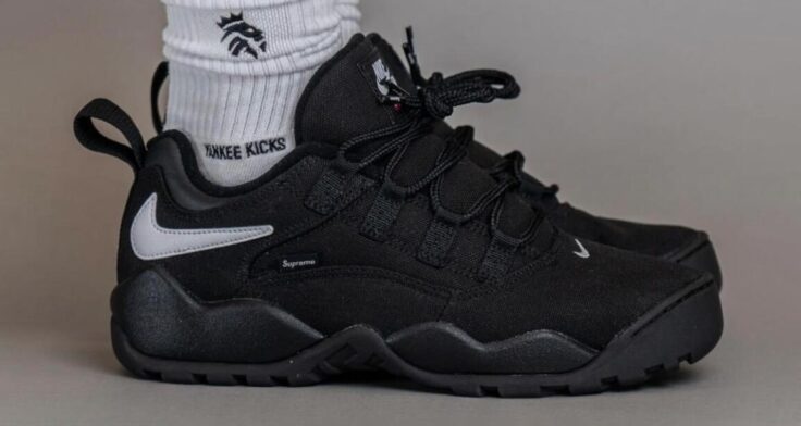 Supreme x Nike SB Darwin Low "Black" FQ3000-001