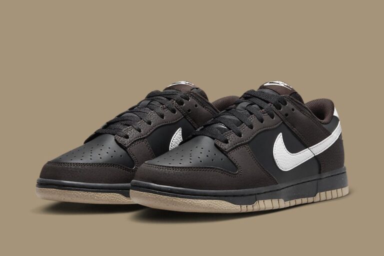 Nike Dunk Low Next Nature WMNS Velvet Brown HF9984 001 Nice Kicks