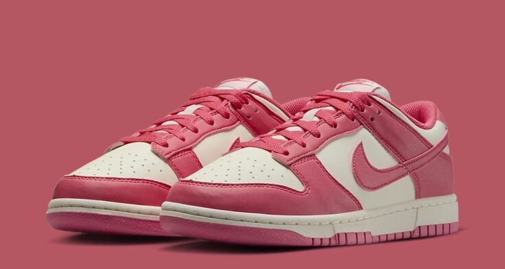 nike Red Dunk Low Next Nature WMNS "Aster Pink" DD1873-600