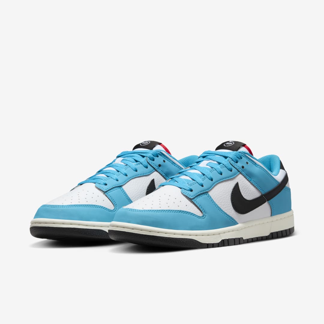 Nike Dunk Low Next Nature HJ9088-488