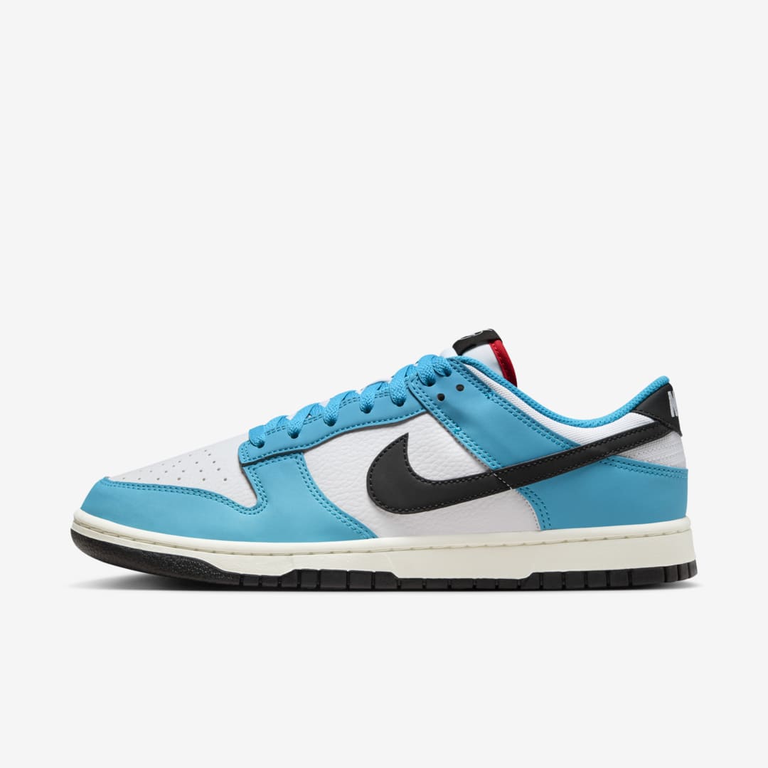 Nike Dunk Low Next Nature HJ9088-488