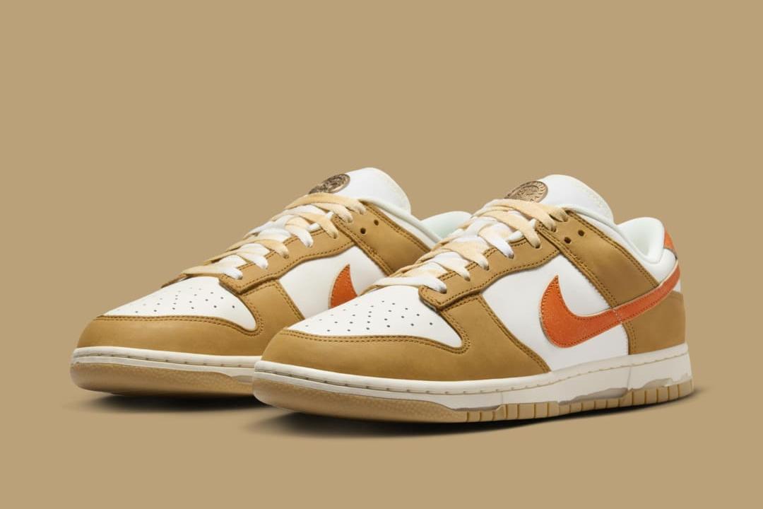 Nike Dunk Low "Be The 1" HM3729-181