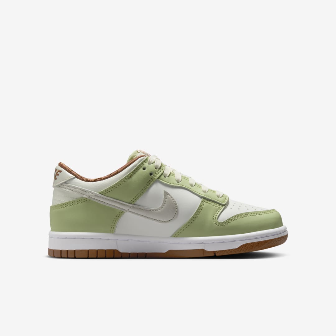 Nike Dunk Low GS HV6001-101