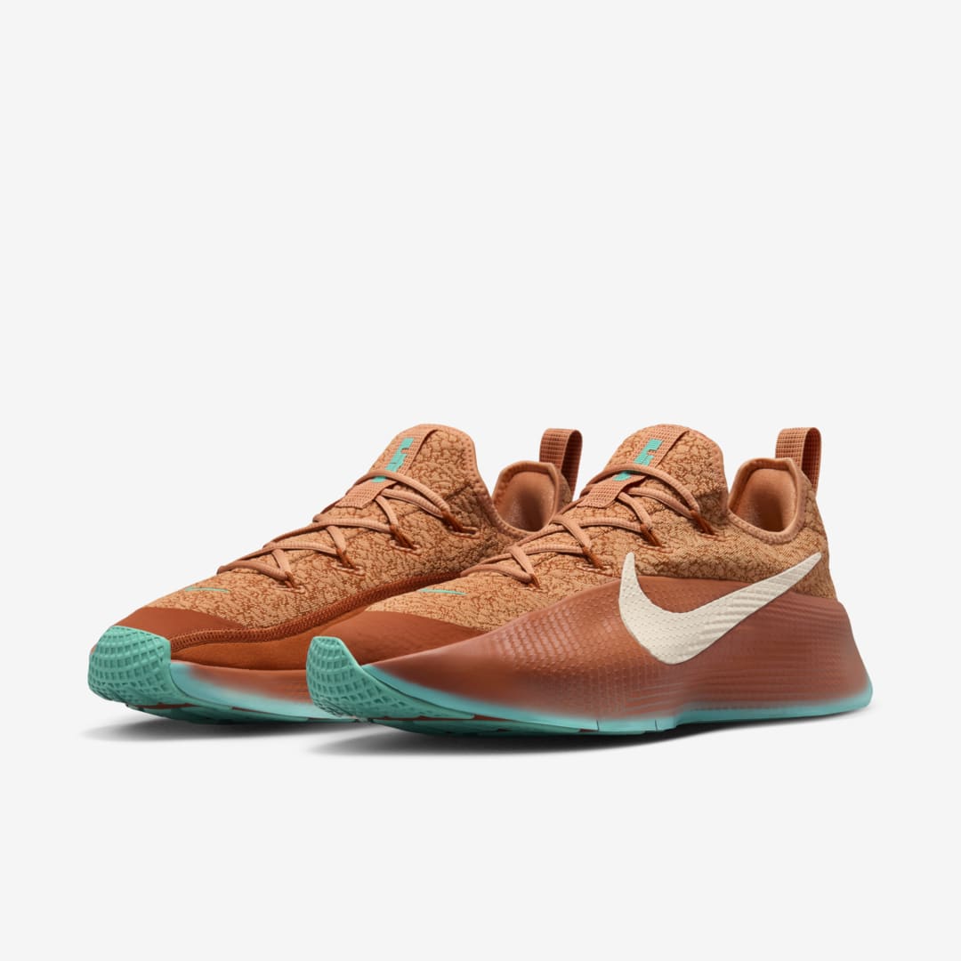 Nike LeBron TR 1 FJ6151-200