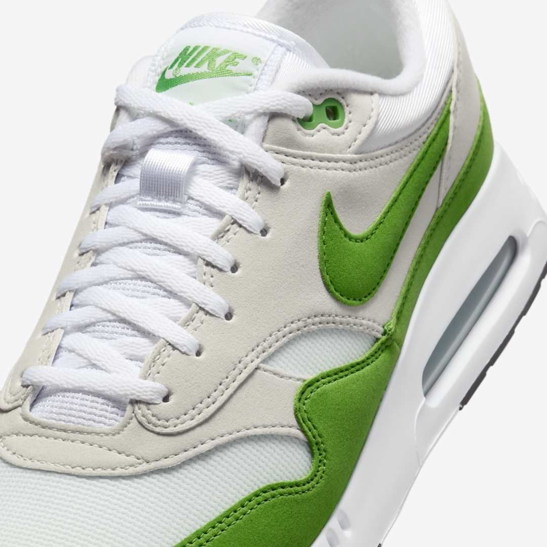 Nike Air Max 1 ’86 OG Golf DV1403-119