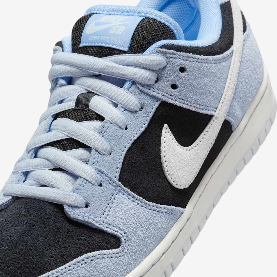 Nike SB Dunk Low Pro HF3063-400