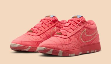 Nike Book 1 "Sedona" IB8054-800