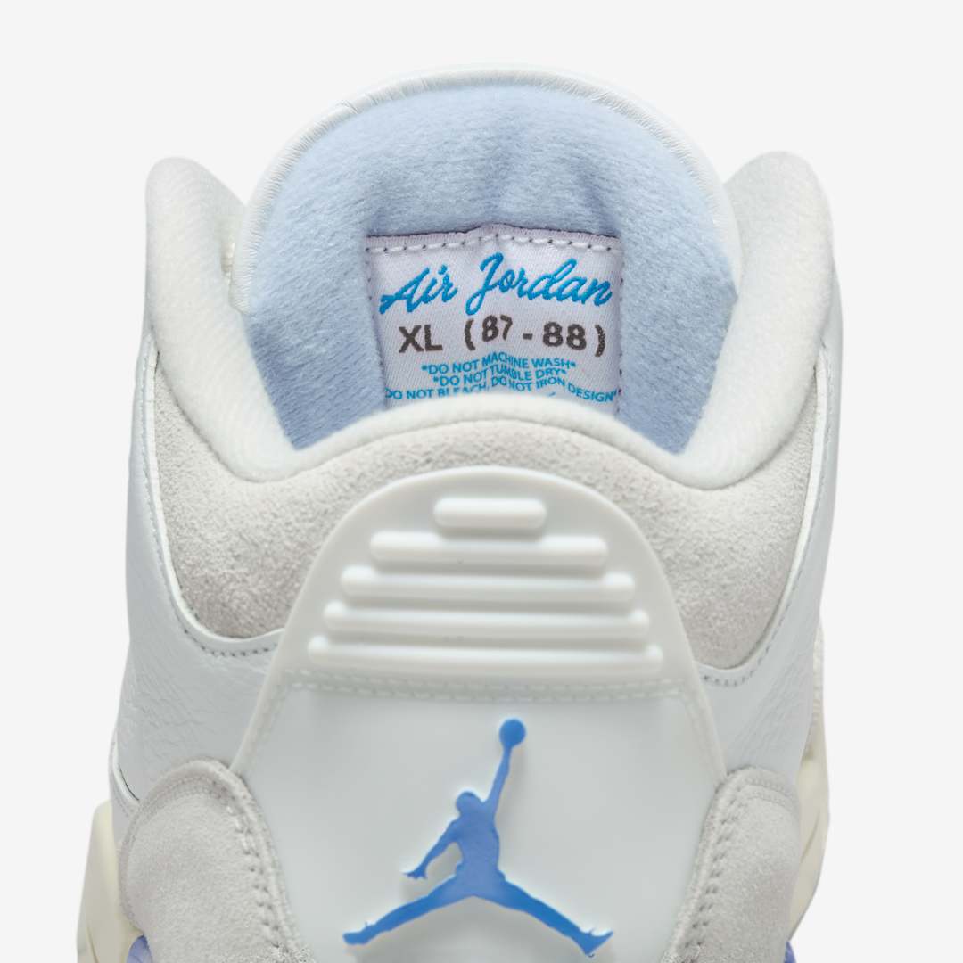 Air Jordan 3 "Lucky Shorts" CT8532-101