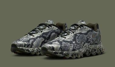 Nike Air Max DN8 "Snakeskin" HV8476-300